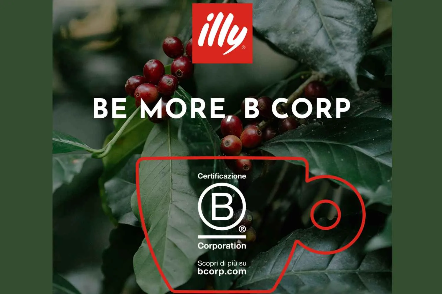 illycaffè ottiene la ricertificazione B Corp: ecco i 6 criteri che ha dovuto superare
