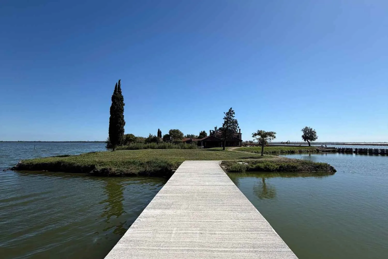 Esiste una valle nella Laguna di Venezia che cattura CO₂ grazie ad acqua e alghe: siamo stati a Val Dogà