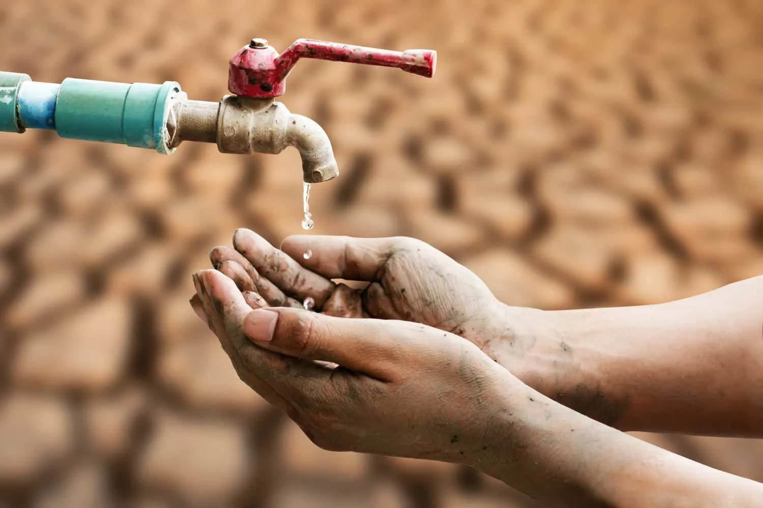 Il lato nascosto della crisi climatica: più lavoro per le donne, meno soldi e meno potere